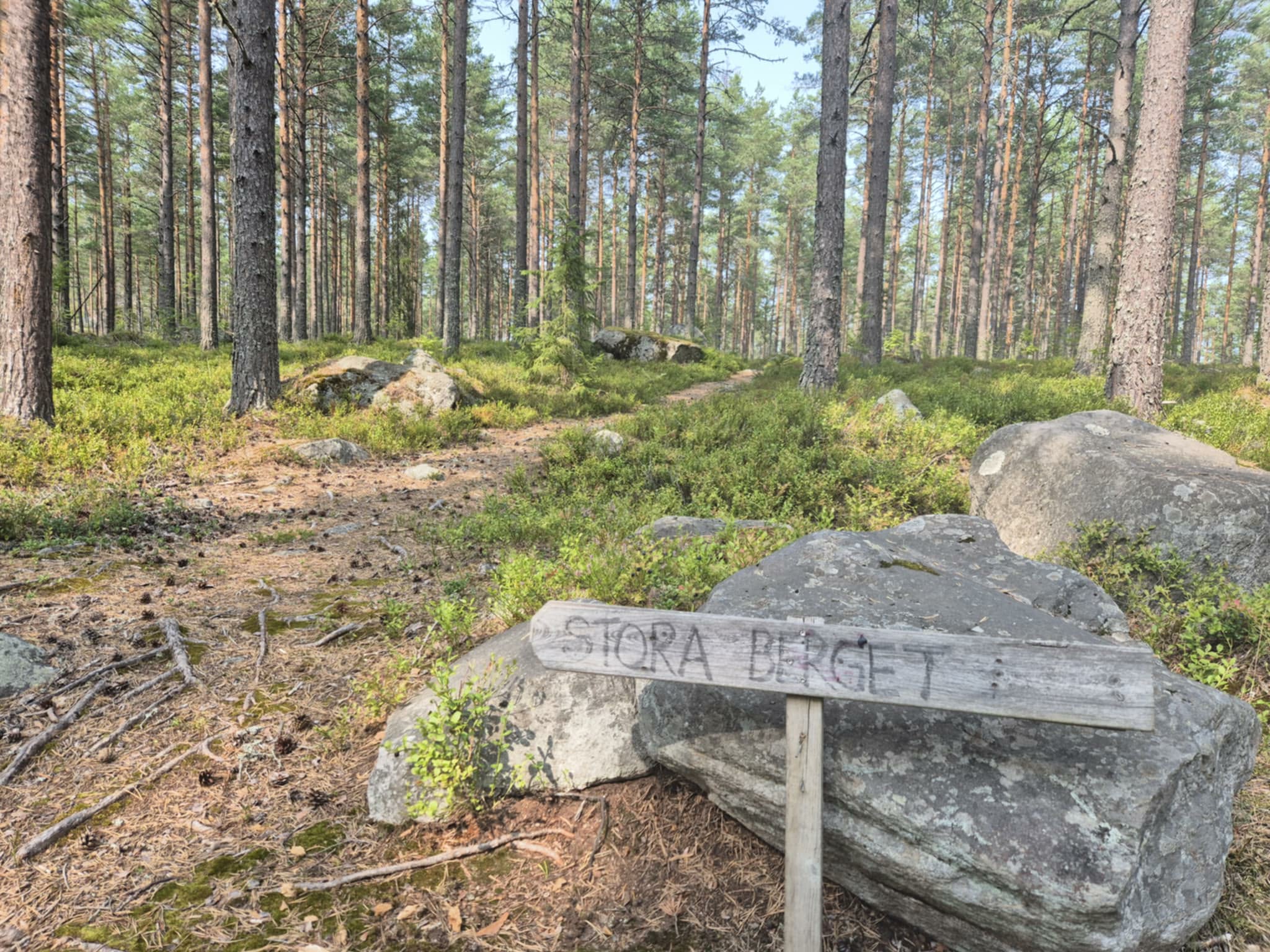 Evenemang 1000034534